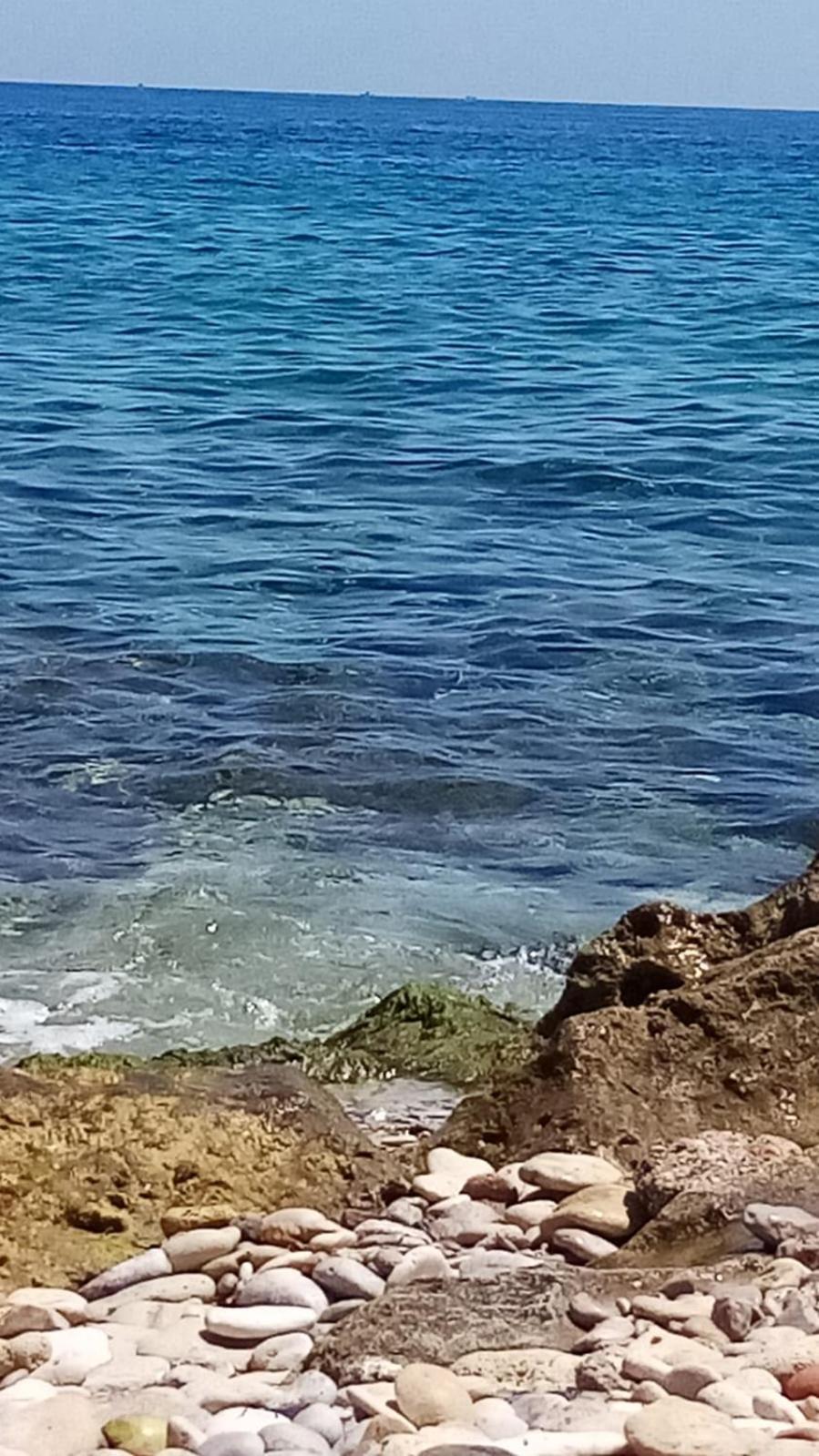 Appartamento La Trinacria Mare Palermo Esterno foto